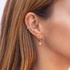 imageS925 Sterling Silver Post Huggie Hoop Earrings 14K Gold Plated Dangle Small Hoop Cuff Earring Hypoallergenic Dainty Cubic Zirconia Snake Ball Spike Evil Eye Moon Star Huggie Hoop EarringsNorth Star
